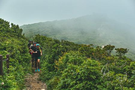 2024 Dynafit Taebaek Trail 2024 - Dynafit TAEBAEK TRAIL 50K 