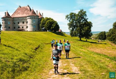 Jidvei Weinland Trails 2025 - Jidvei Weinland Trails Marathon